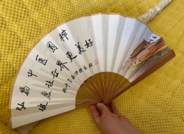 2026世界杯上，中医大师李乘伊向世界展示国粹