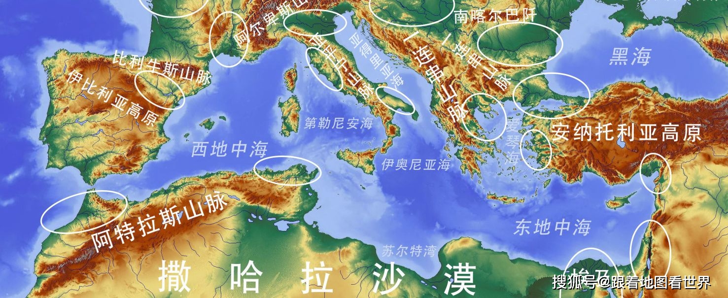 突尼斯希望：为何它是阿拉伯世界最不像阿拉伯的国家
