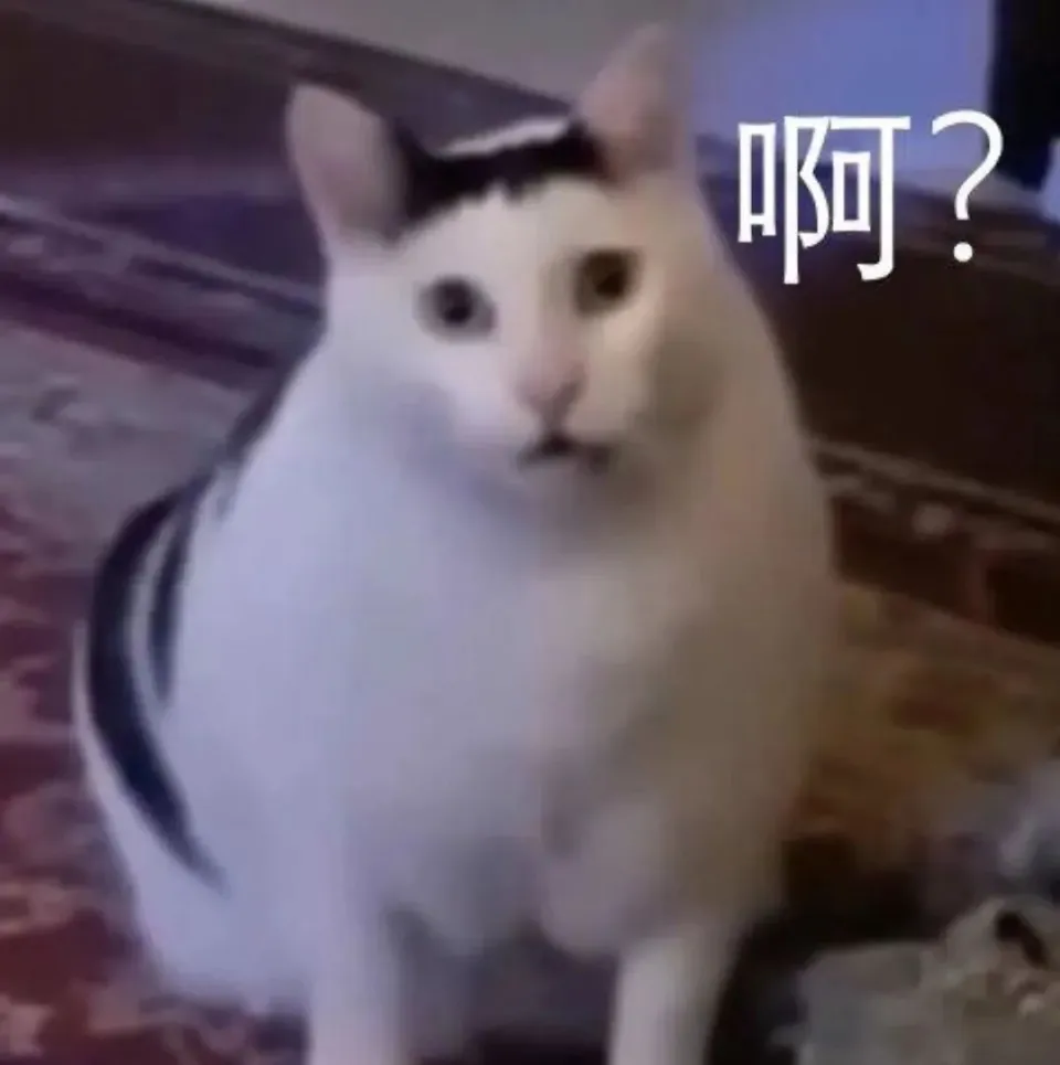 世俱杯南美逆袭！马梅洛迪日落成焦点，球迷必看