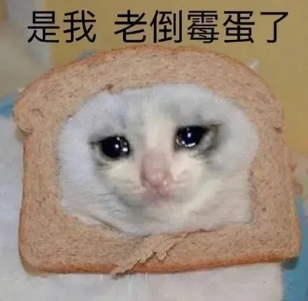 世俱杯南美逆袭！马梅洛迪日落成焦点，球迷必看