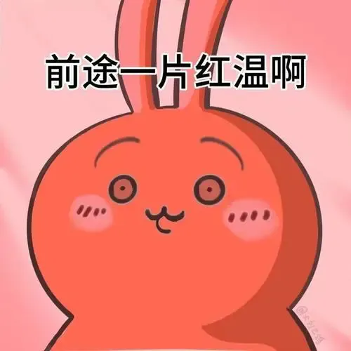 世俱杯南美逆袭！马梅洛迪日落成焦点，球迷必看