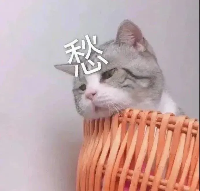 世俱杯南美逆袭！马梅洛迪日落成焦点，球迷必看